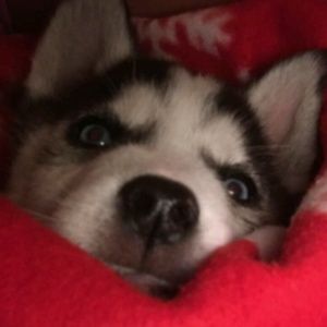 Meet your Posher, Makayla